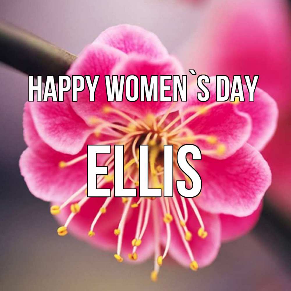 Greetings card с именем, Ellis happy women`s day цветы Greetings with text for free download 
